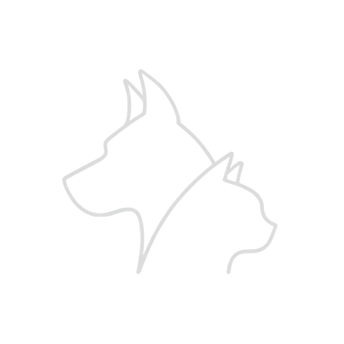 dierbaaraandenken.nl